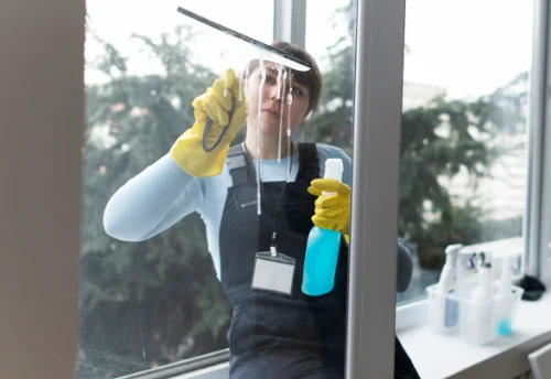 Nettoyage de vitres intérieures et extérieures à Mauchamps
